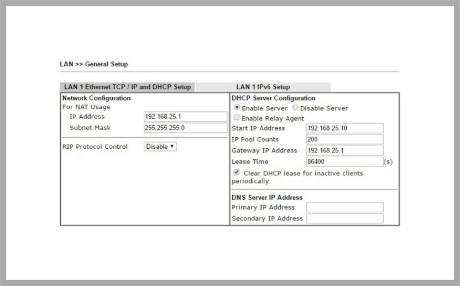 DHCP Server επιλογές του Vigor Router